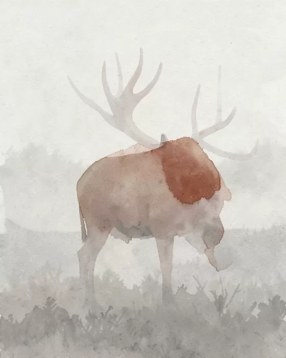 Fog Elk
