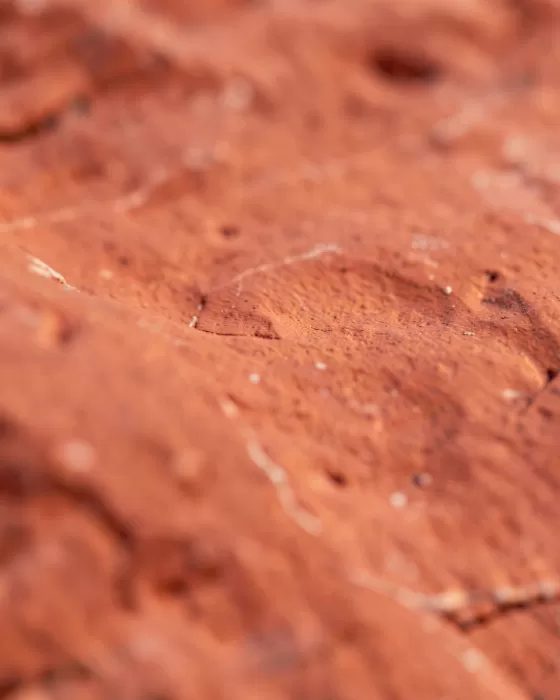 Rust Veins