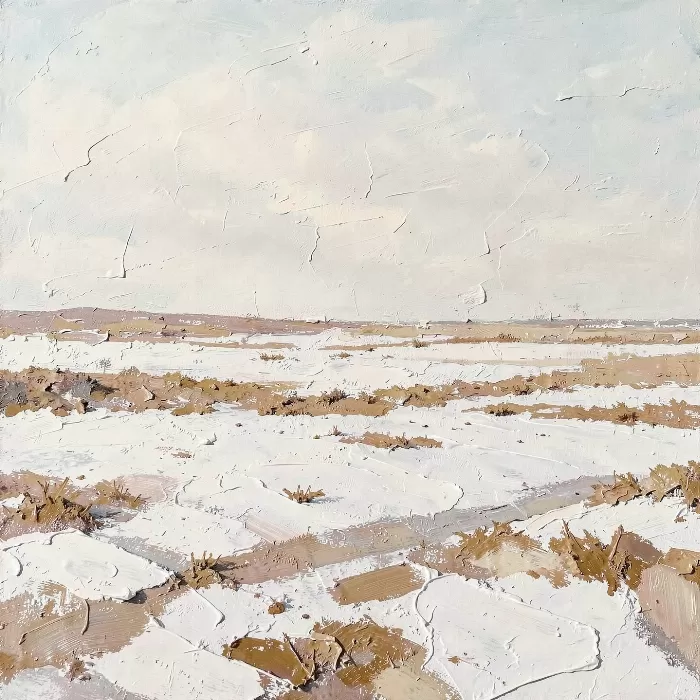 Snow Barrens