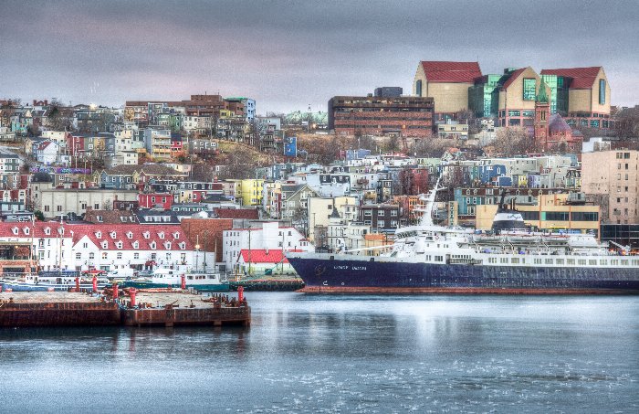 DT - Newfoundland art print
