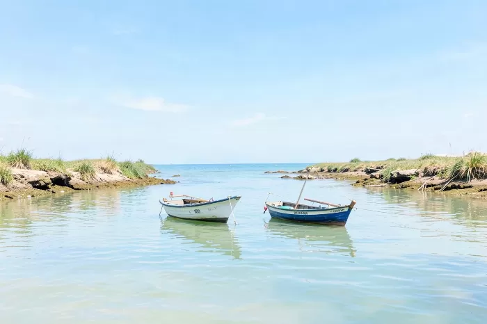 Anchored Boats