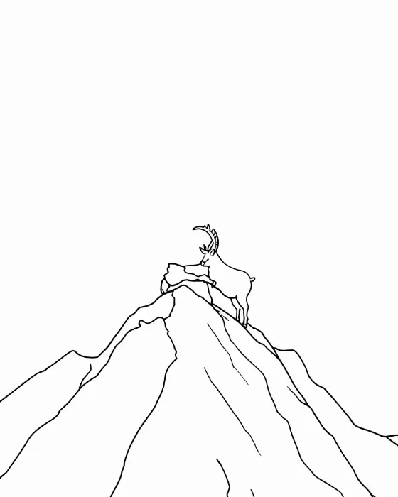 Mountain Goat