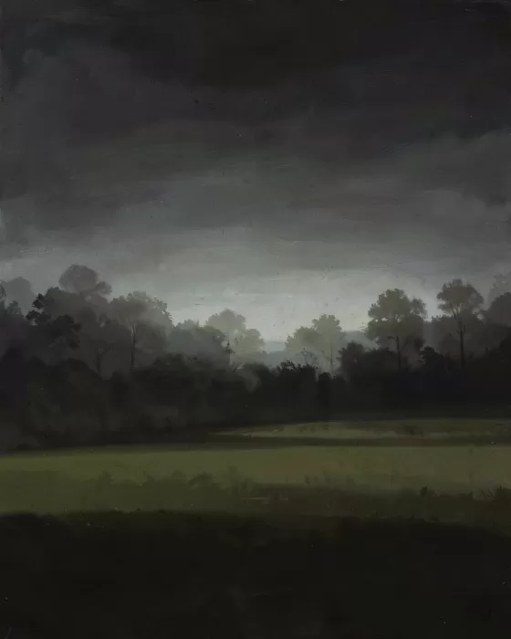 Midnight Forest