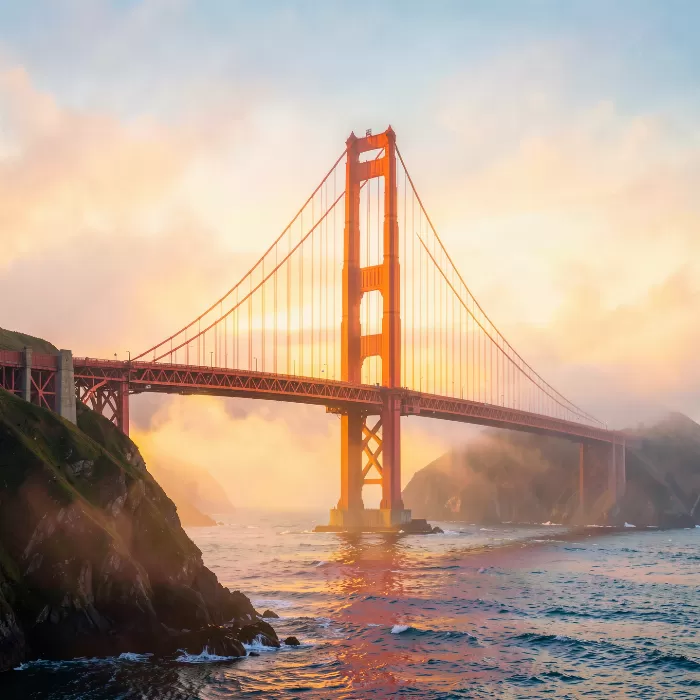 Harbor Fog