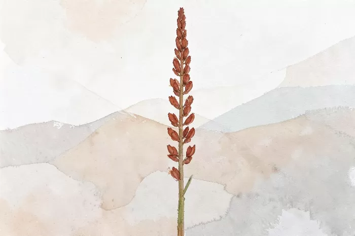 Rust Spike