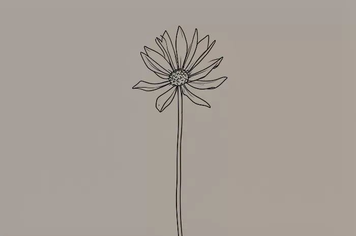 Cosmos Sketch