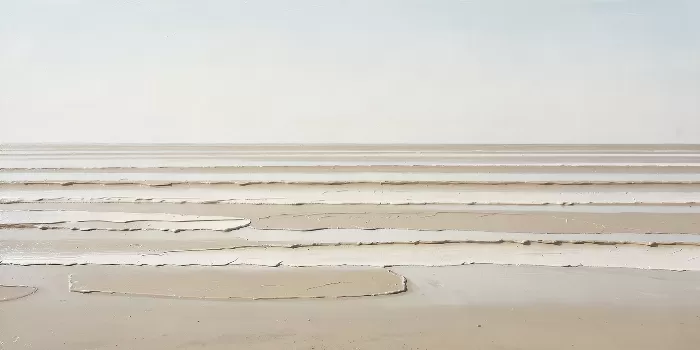 Plaster Shore