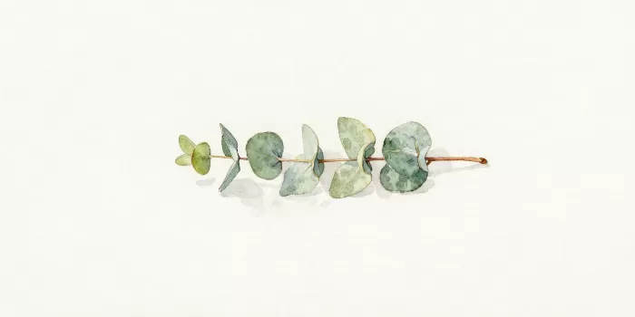 Pale Sprig
