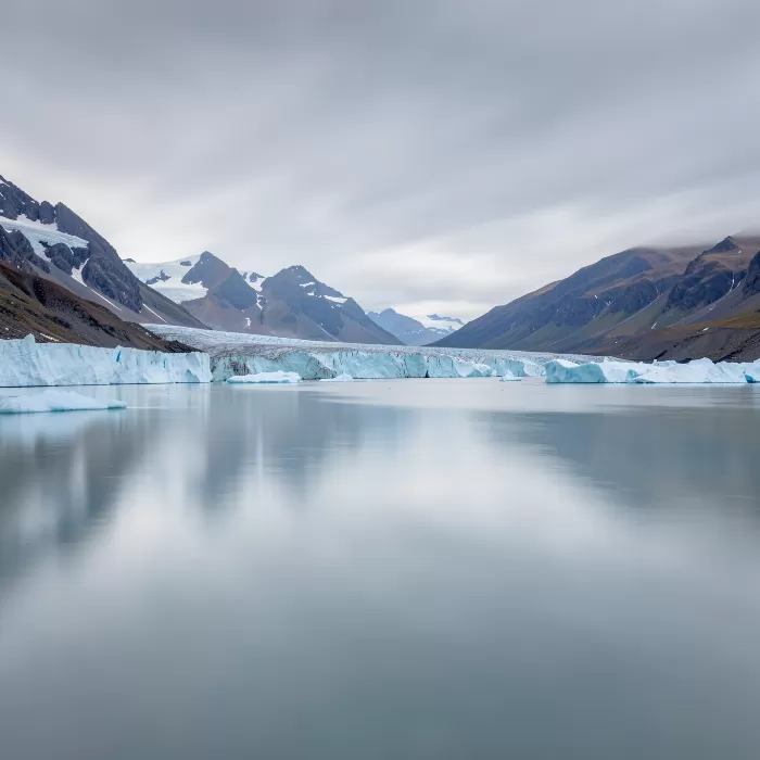Silken Ice