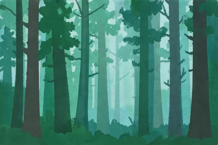 Foggy Grove