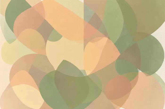 Matcha Orbit