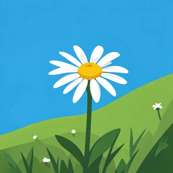 Alpine Daisy