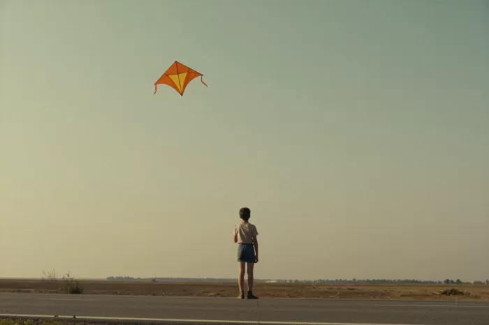 Kite Boy