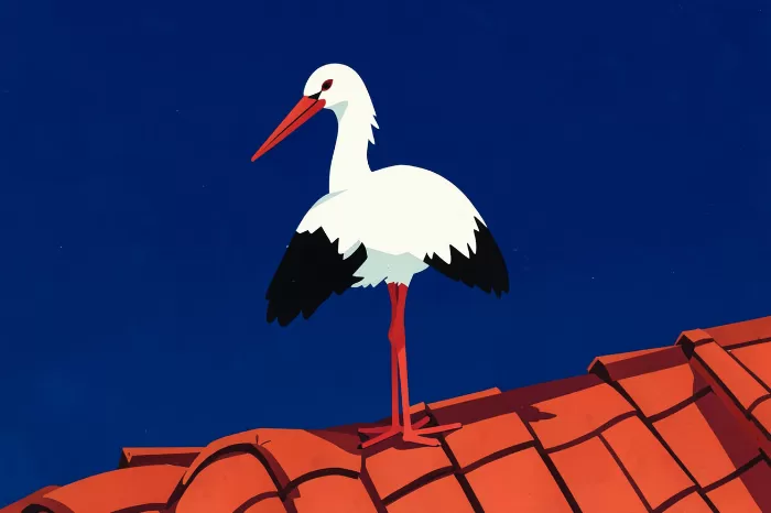 Rooftop Stork