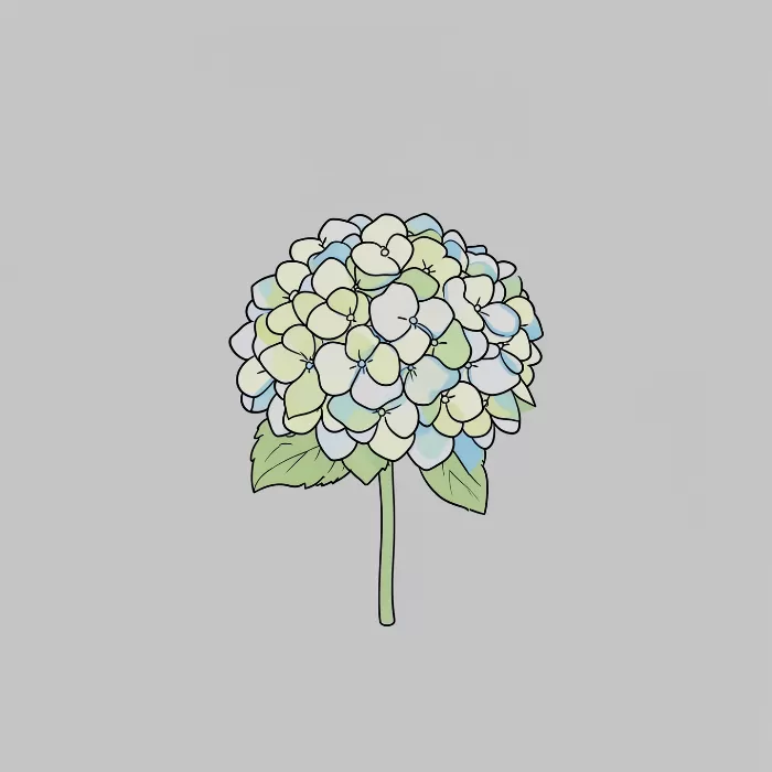 Soft Line Hydrangea