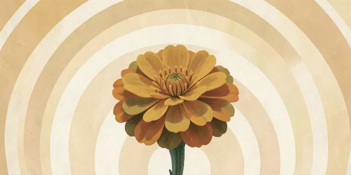 Marigold Halo
