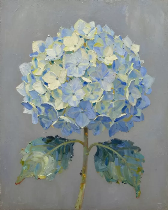 Hydrangea Blue