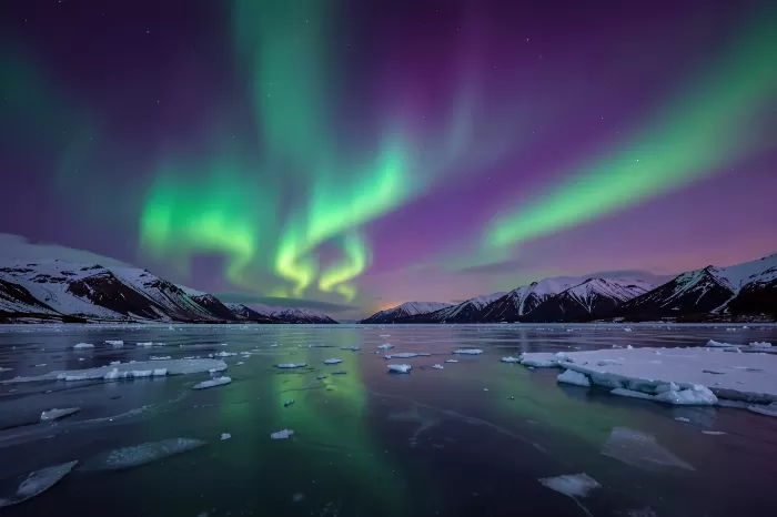 Polar Aurora