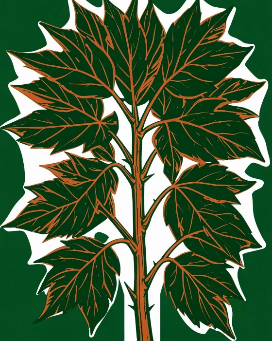 Salmonberry