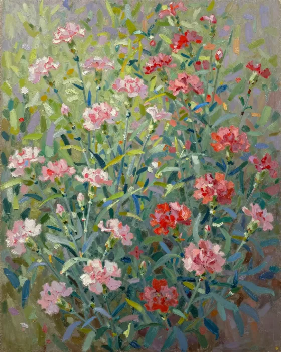 Carnation Border