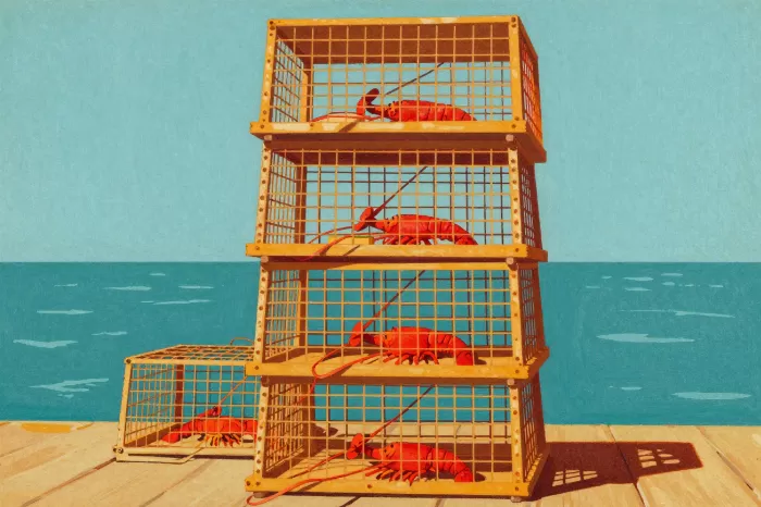 Harbour Traps