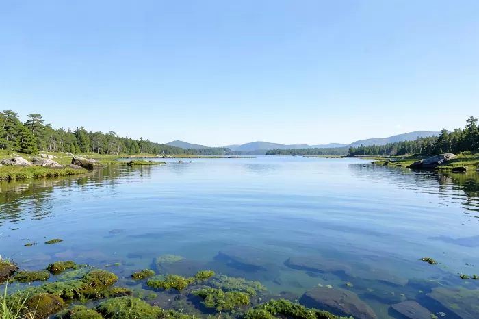 Acadia Clarity