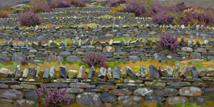 Connemara Wall
