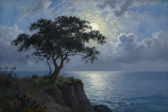 Windswept Cliff