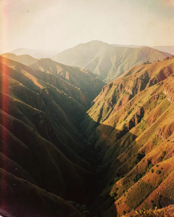 Waimea Haze
