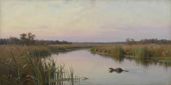 Muskrat Morning