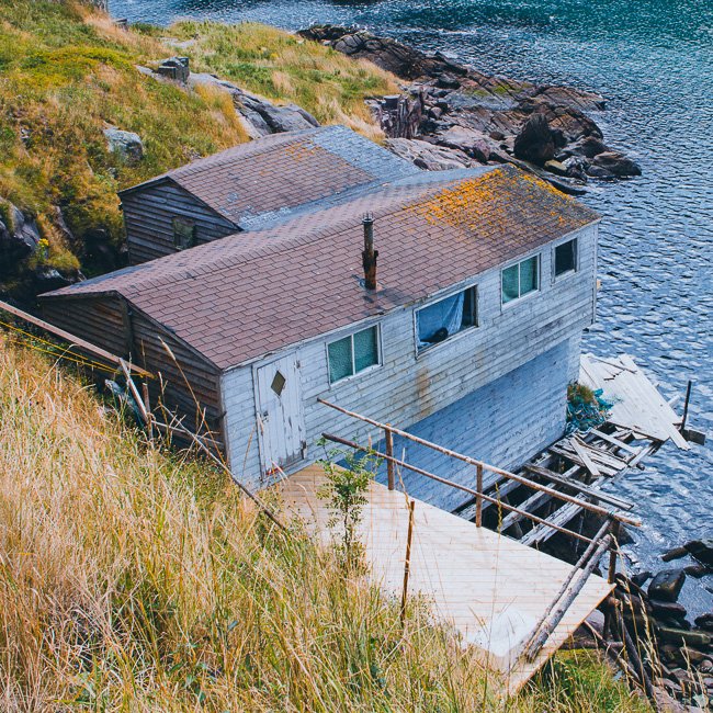 On The Edge - Newfoundland art print