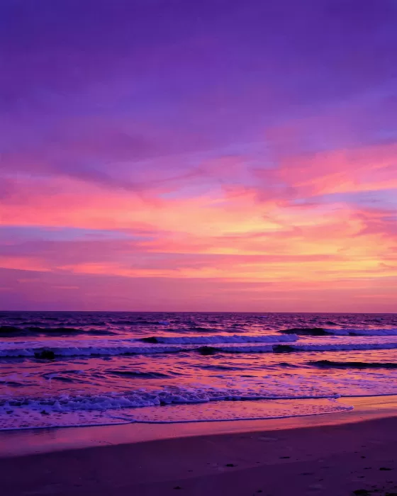 Myrtle Dawn
