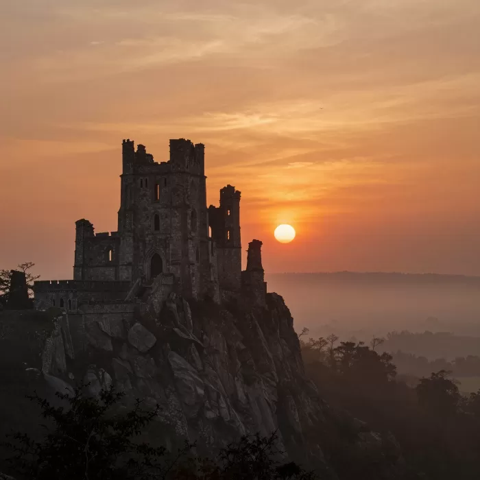 Dying Light