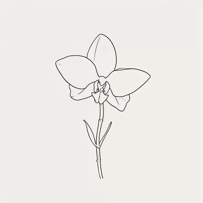 Orchid Line
