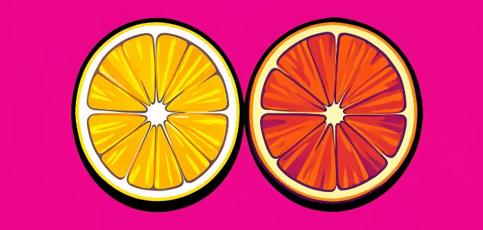 Orange Segment