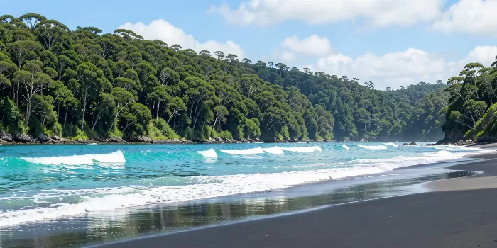 Turquoise Surf