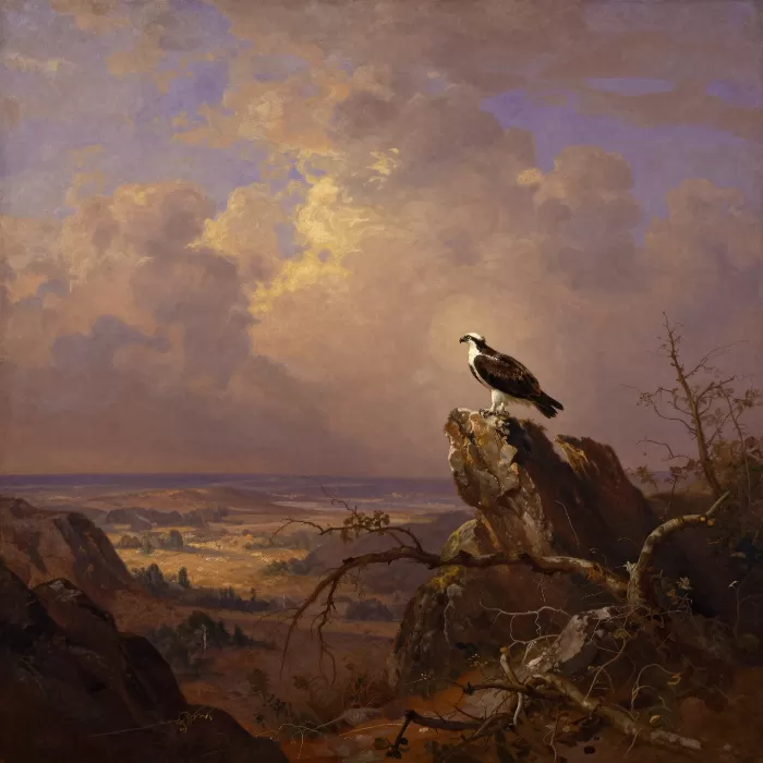 Osprey's Perch