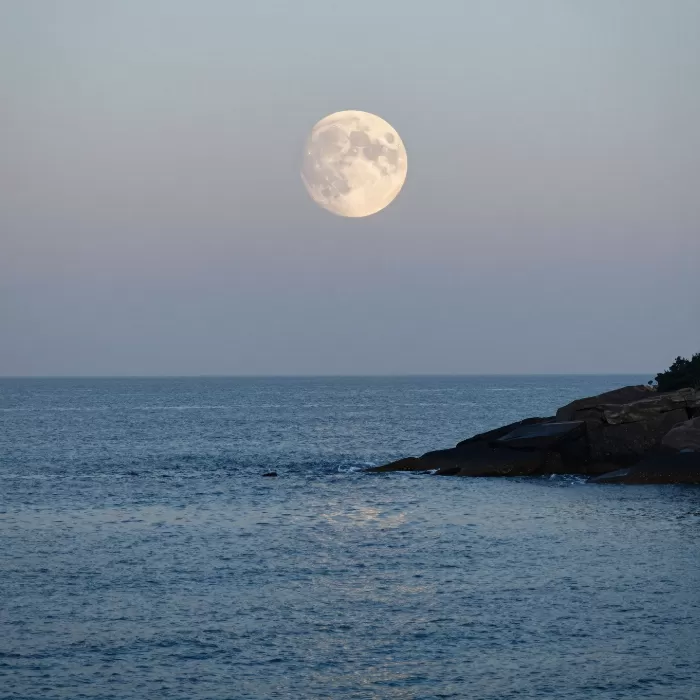Silver Sea