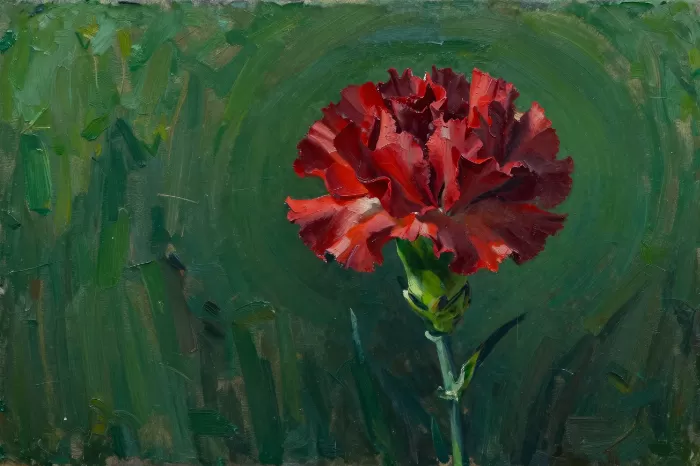 Deep Carnation