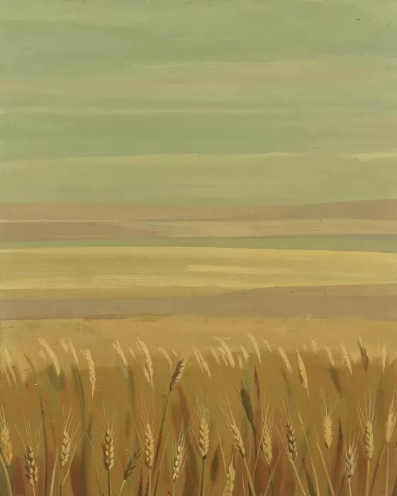 Terra Fields