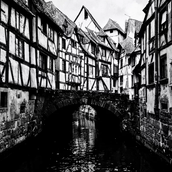 Timbered Canal