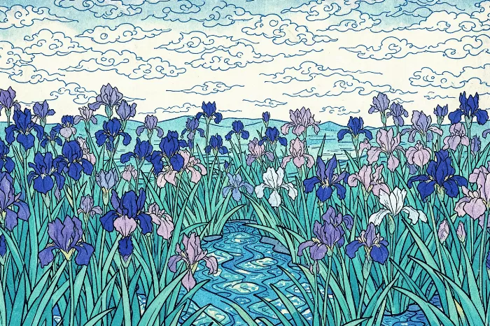Indigo Irises