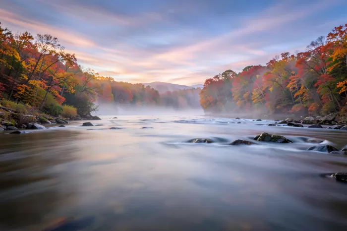 Misted Fall
