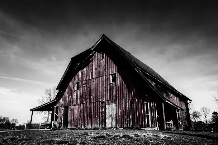 Silent Homestead