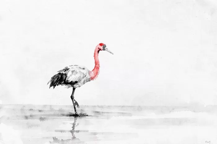 Crane Mist
