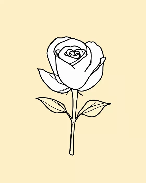 Stroked Rose