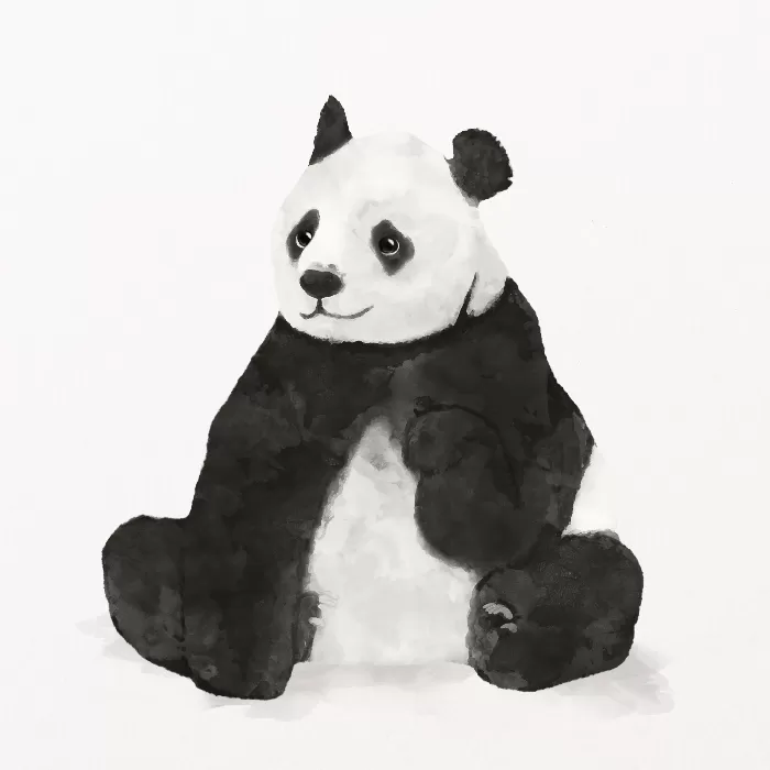 Panda watercolor illustration