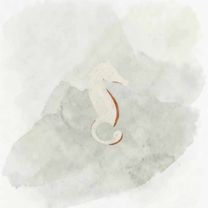 Shore Curl