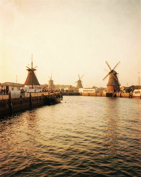 Golden Quay