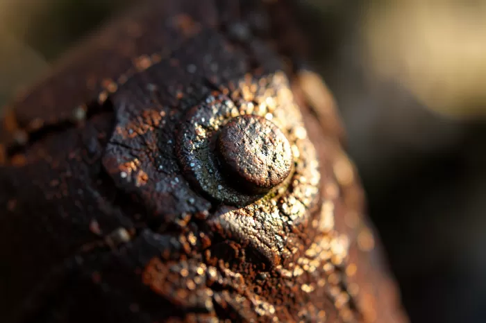 Iron Stud